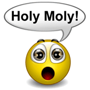 Image result for emoticon holy moly